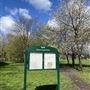Down Lane Park