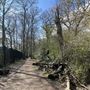 Eltham Park North and Shepherdleas Wood