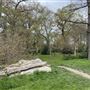 Waring Park