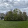 Abbey Hill Park