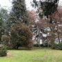 Lamorbey Park