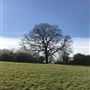 Greenbanks Farm