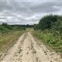 Runaway Farm