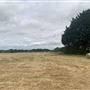 Runaway Farm