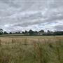 Waddle Farm