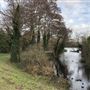 Wanstead Park