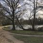 Wanstead Park