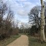 Wanstead Park