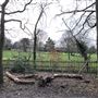 Wanstead Park