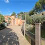 London Zoo