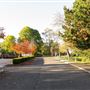 The Lakeside Campus