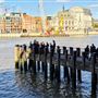 Observation Point on South Bank Riverside Walkway