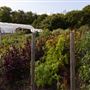 Soul Farm