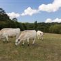 Keepers Farm