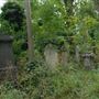 Abney Park Cemetery