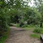 Abney Park Cemetery