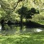 Grovelands Park