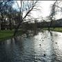 Regent's Park