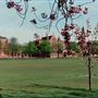 Dulwich College