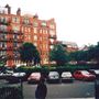 Pimlico area