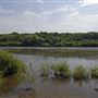 Ruislip Lido