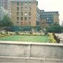 Festival Gardens