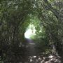 Stave Hill Ecological Park