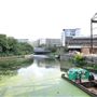 River Lee  - Dace Road