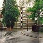 Percy Circus