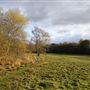 Wimbledon Common