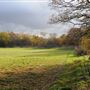 Wimbledon Common