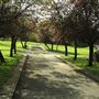 Lordship Recreation Ground
