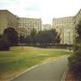 Dorset Estate