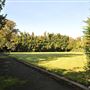 Mountsfield Park