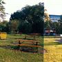 Hammersmith Park