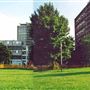 South Acton Estate