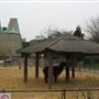 London Zoo