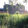Camley Street Natural Park