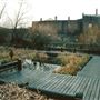 Camley Street Natural Park