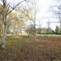 Cannizaro Park