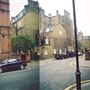 Thistle Grove