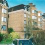 Manor Fields