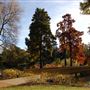 Royal Botanic Gardens, Kew