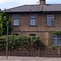 Isle of Dogs