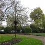 Victoria Embankment Gardens