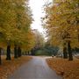 City of London Cemetery