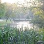 Victoria Park
