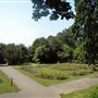 Oxleas Woods, Jack Wood and Castlewood