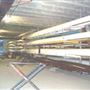Poplar, Blackwall & District Rowing Club