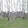 Railway Fields Nature Reserve